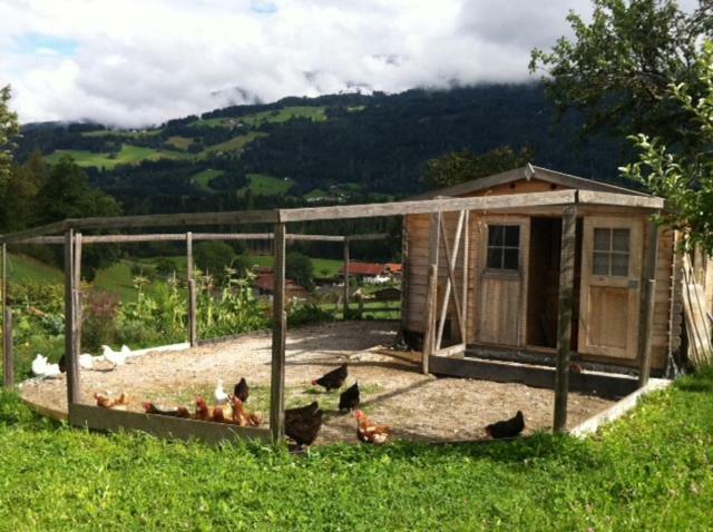 Apartmán Tuschnhof Rinn Exteriér fotografie